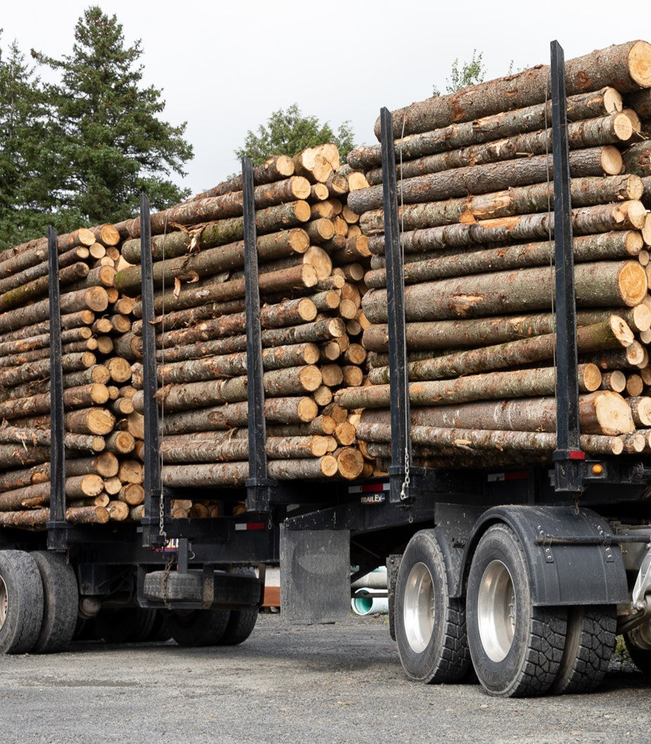 Châtaignier en Grume Camion de 50 Stères