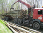 GRUME DE BOIS DE TECK 1 CAMION DE 40M3