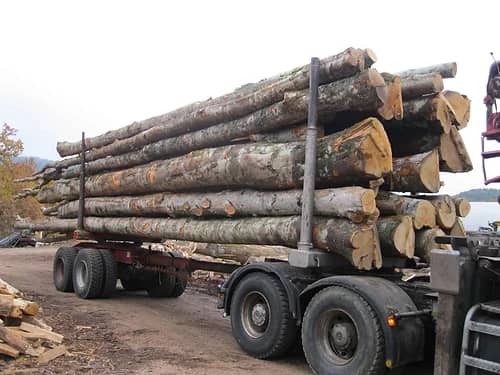 GRUME DE BOIS DE HETRE 1 CAMION DE 40M3